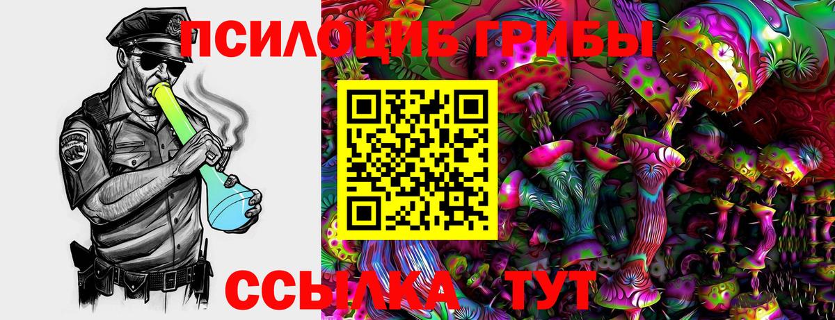 Касимов  Псилоцибиновые грибы MAGIC MUSHROOMS  купить  цена  Вход с VPN 